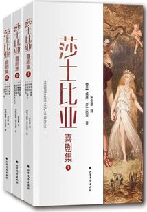 镇魂巍澜可期