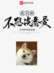 红楼一梦