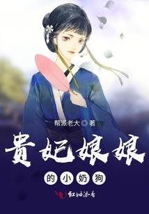海贼之梦幻旅途