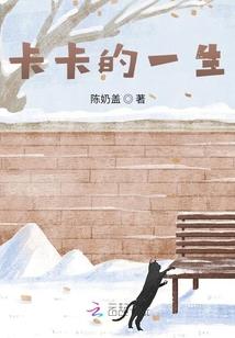 我的世界设计者
