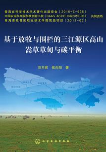 幻天一梦