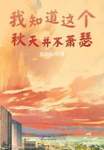 我是笨蛋，你是晴空