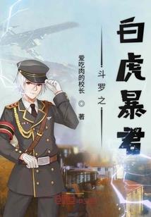 特工小姐