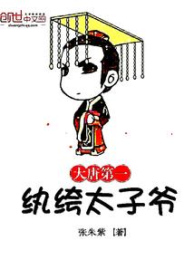 次元世界的天道
