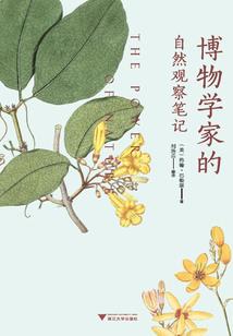 汉青露草