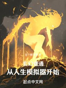 红楼之林家赘婿