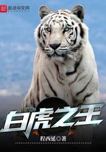 夜契旅馆