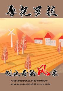 我的元武道女友