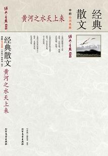 你是我生命中的意外