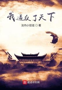 我的寒门赘婿