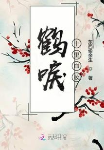 魔晶传奇