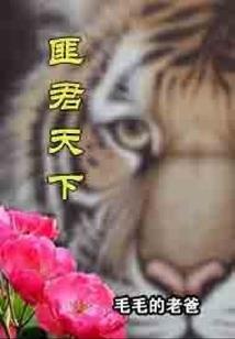 极天前传