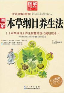 一见追光
