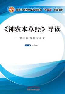 开挂了的凡人