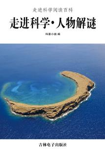 严少追妻