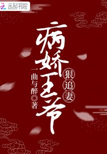 琅琊同萌录