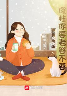 路过婚姻爱过你