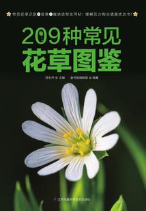 异世武之至尊