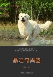 都市童话之弃妇再嫁