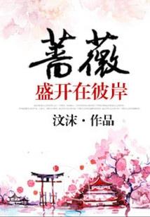 日梦