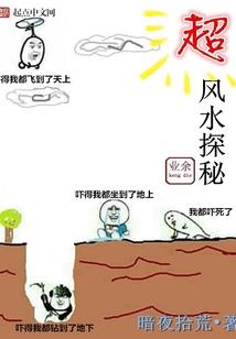 逐梦精灵