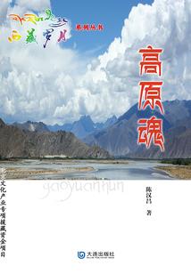 清锁佳人