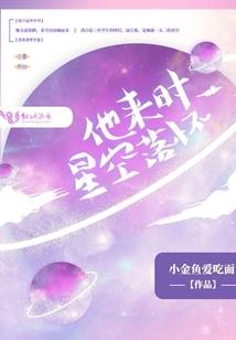 狐狸宠物院