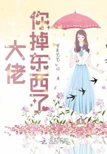 杰斯大陆