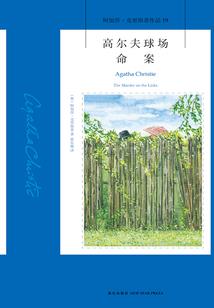 莫天纵横