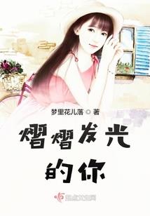 全职高手之荣耀天花板