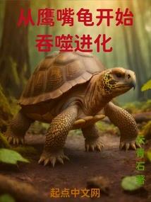 热血拳师