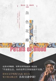 像风自由而孤独