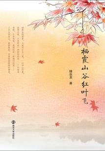 秋兮铺子