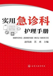 梦影侠踪2之彩虹之眼