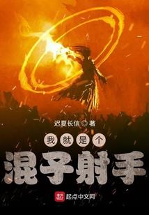 洛情不灭亦不休