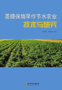 娘子说的是