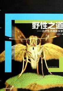 带着系统去海贼王