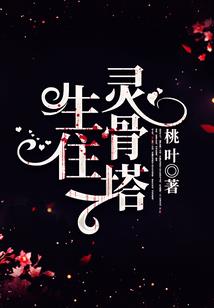 神奇宝贝之华丽大师