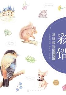 不负卿卿两相欢