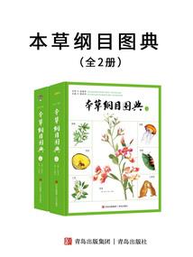 三世玄音画断弦琴