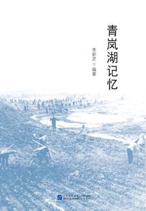 维新甲胄