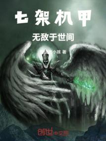 刺客小飞