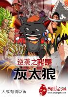 甘普在霍格沃茨
