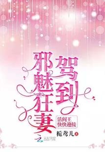 长安归故里大神的追妻之路
