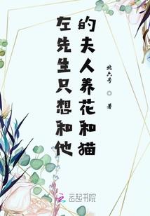 次元世界的机甲战士