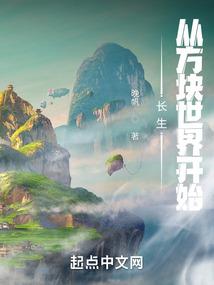 我和我的虚伪正义系统
