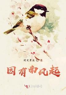 异度软件