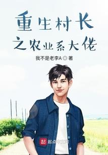 有条猫巷