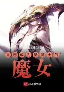 虚拟世界之英雄世纪