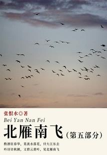 无我乾坤